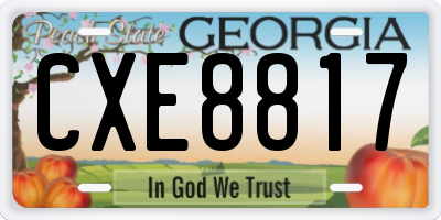 GA license plate CXE8817