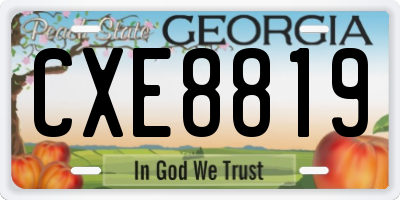 GA license plate CXE8819