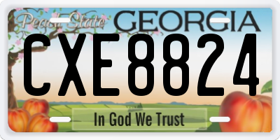 GA license plate CXE8824