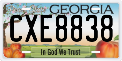 GA license plate CXE8838