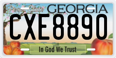 GA license plate CXE8890