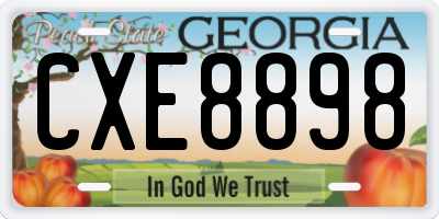 GA license plate CXE8898