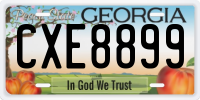 GA license plate CXE8899