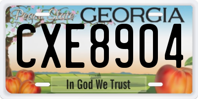 GA license plate CXE8904