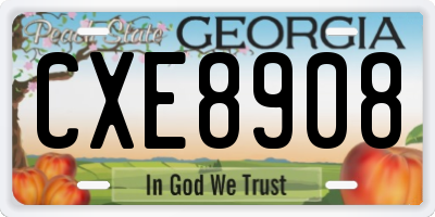 GA license plate CXE8908