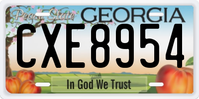 GA license plate CXE8954