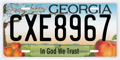 GA license plate CXE8967