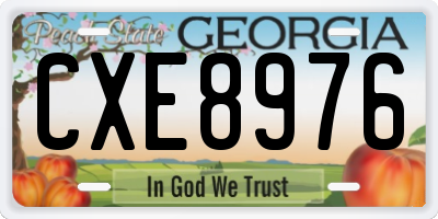 GA license plate CXE8976