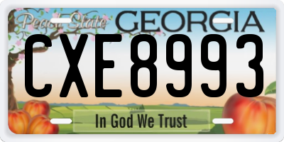 GA license plate CXE8993