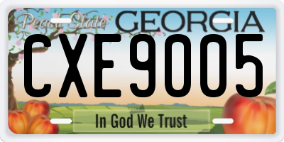 GA license plate CXE9005