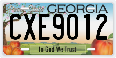 GA license plate CXE9012