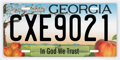 GA license plate CXE9021