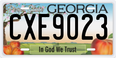 GA license plate CXE9023