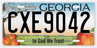 GA license plate CXE9042
