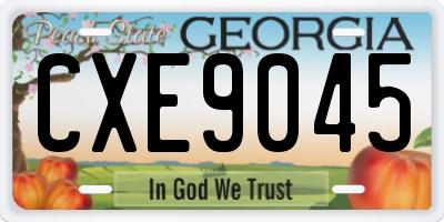 GA license plate CXE9045