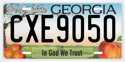 GA license plate CXE9050