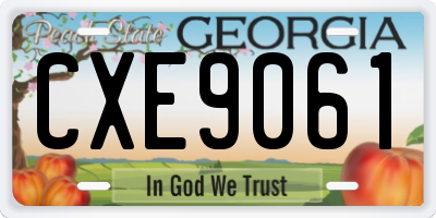 GA license plate CXE9061