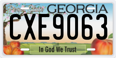 GA license plate CXE9063