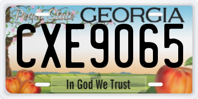 GA license plate CXE9065
