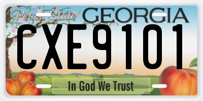 GA license plate CXE9101