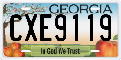 GA license plate CXE9119