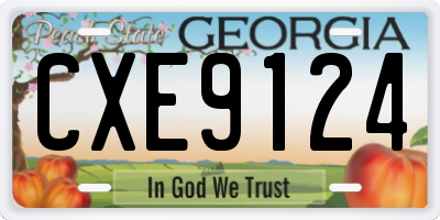 GA license plate CXE9124