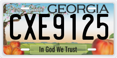 GA license plate CXE9125