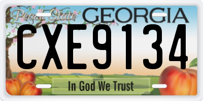 GA license plate CXE9134