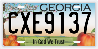 GA license plate CXE9137