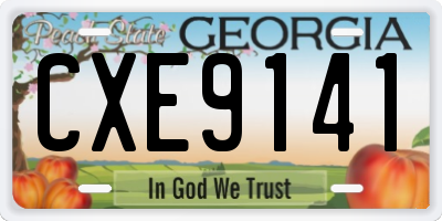 GA license plate CXE9141