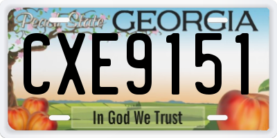 GA license plate CXE9151