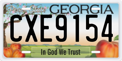 GA license plate CXE9154