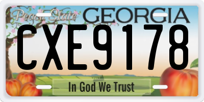 GA license plate CXE9178