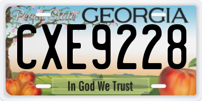 GA license plate CXE9228