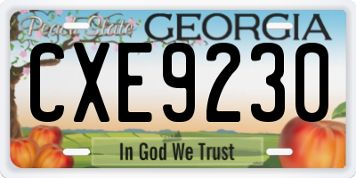 GA license plate CXE9230