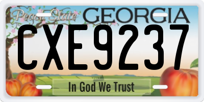GA license plate CXE9237