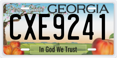 GA license plate CXE9241