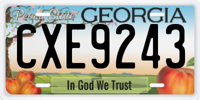 GA license plate CXE9243