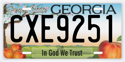 GA license plate CXE9251