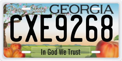 GA license plate CXE9268