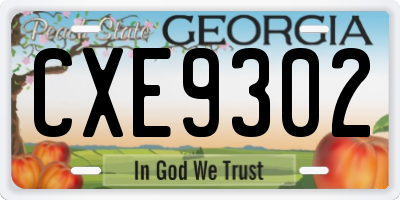 GA license plate CXE9302