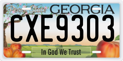 GA license plate CXE9303