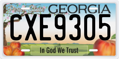 GA license plate CXE9305