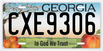 GA license plate CXE9306
