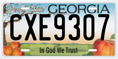 GA license plate CXE9307