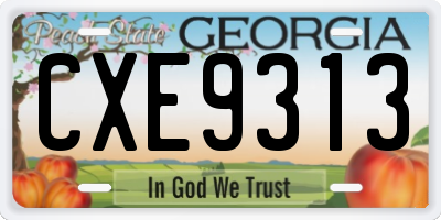 GA license plate CXE9313