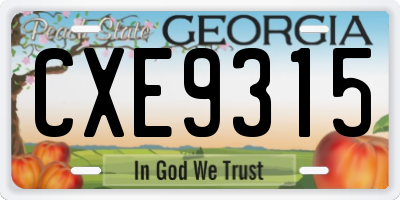 GA license plate CXE9315