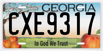 GA license plate CXE9317