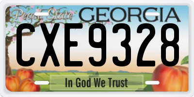 GA license plate CXE9328