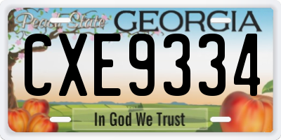 GA license plate CXE9334